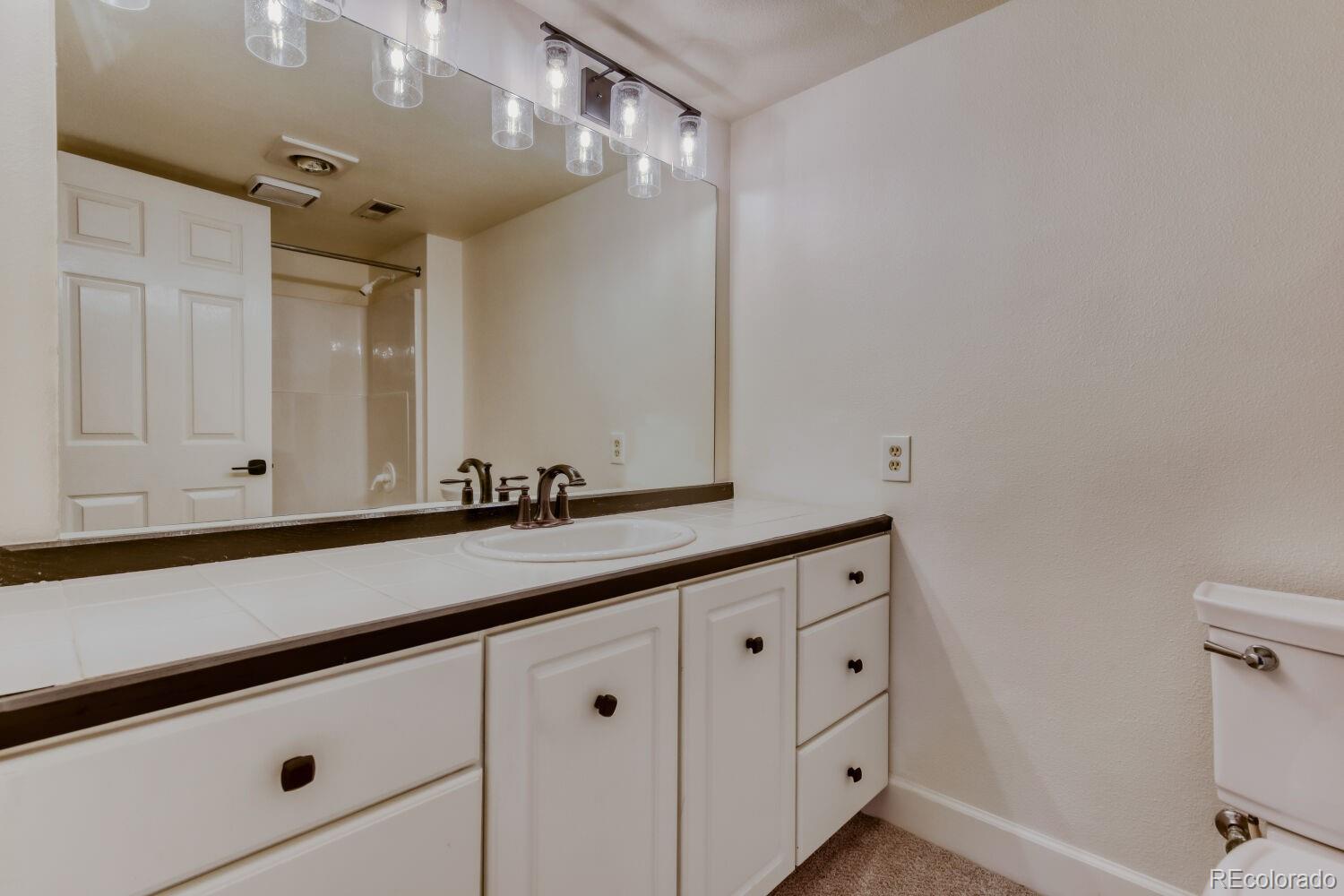 MLS Image #22 for 9378  shadowglen court,highlands ranch, Colorado