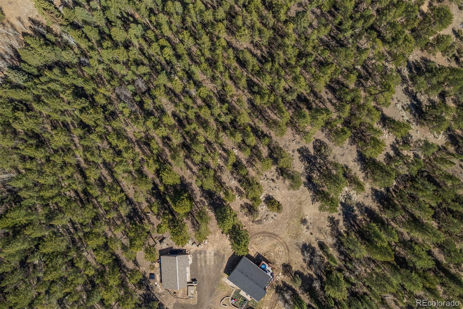 MLS Image #41 for 752  impala trail,bailey, Colorado