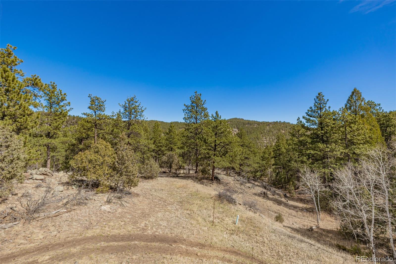 MLS Image #44 for 752  impala trail,bailey, Colorado