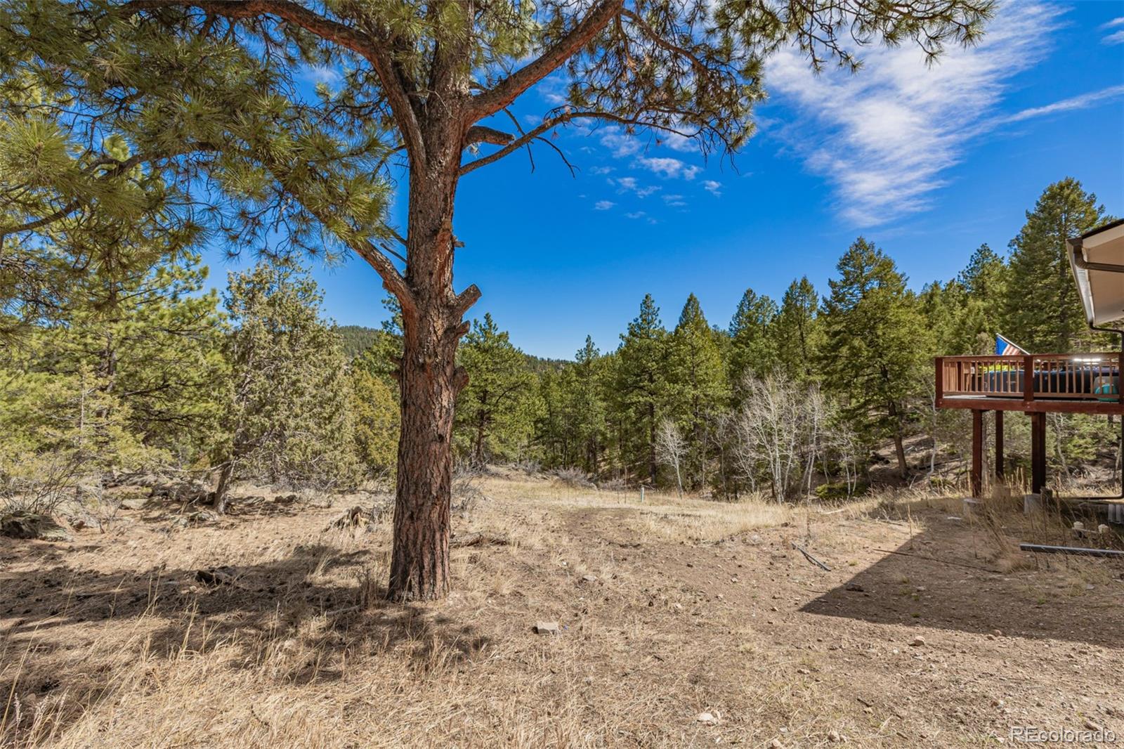 MLS Image #46 for 752  impala trail,bailey, Colorado