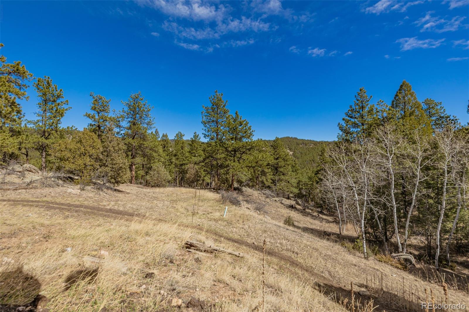 MLS Image #48 for 752  impala trail,bailey, Colorado