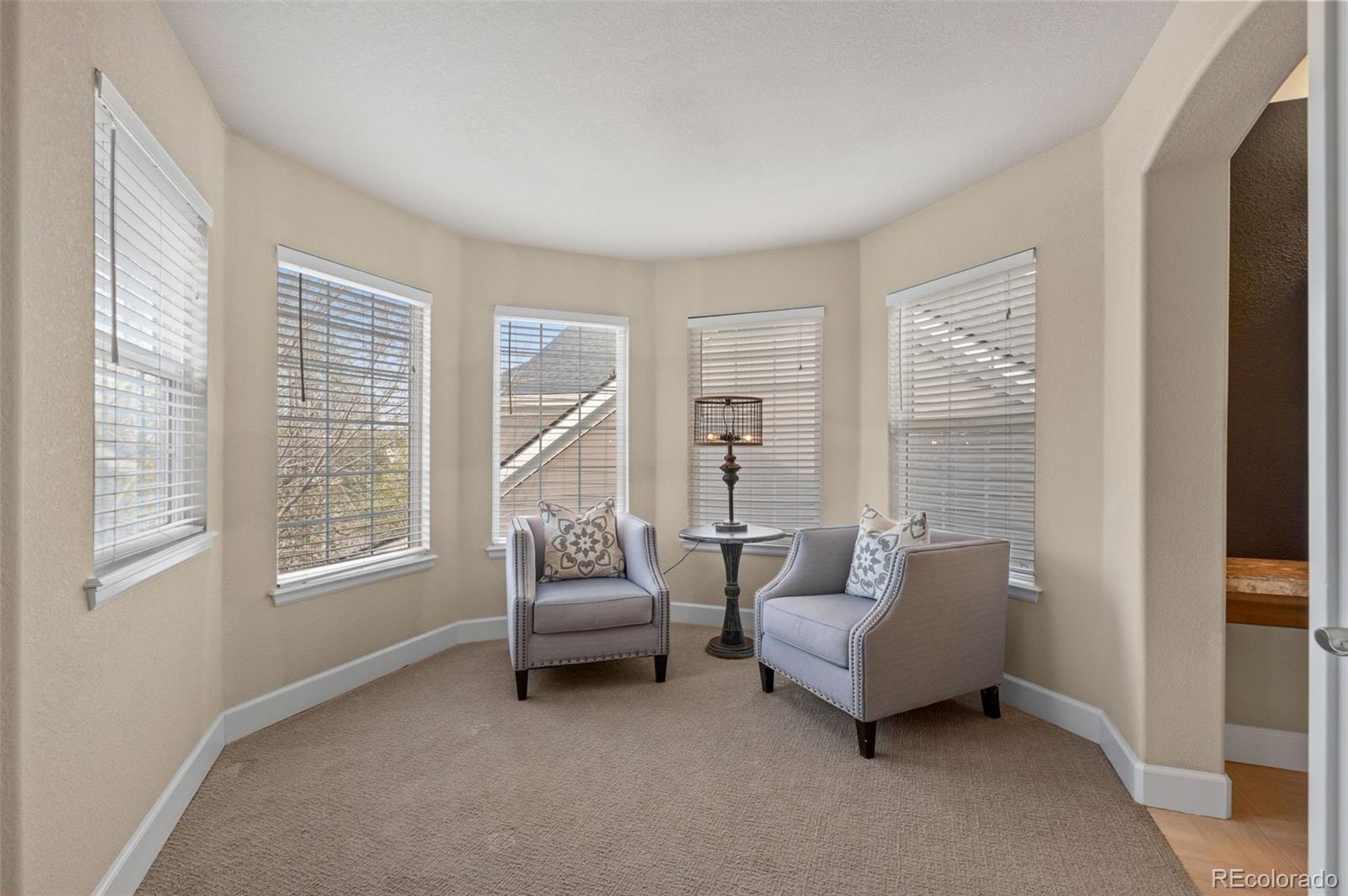 MLS Image #23 for 16080  shenstone court,parker, Colorado