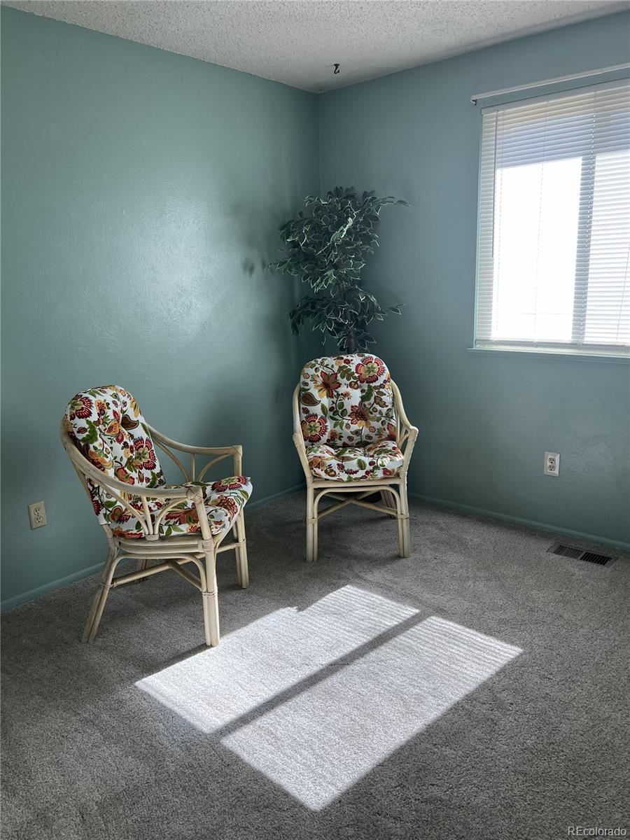 MLS Image #13 for 11506  adams street,thornton, Colorado