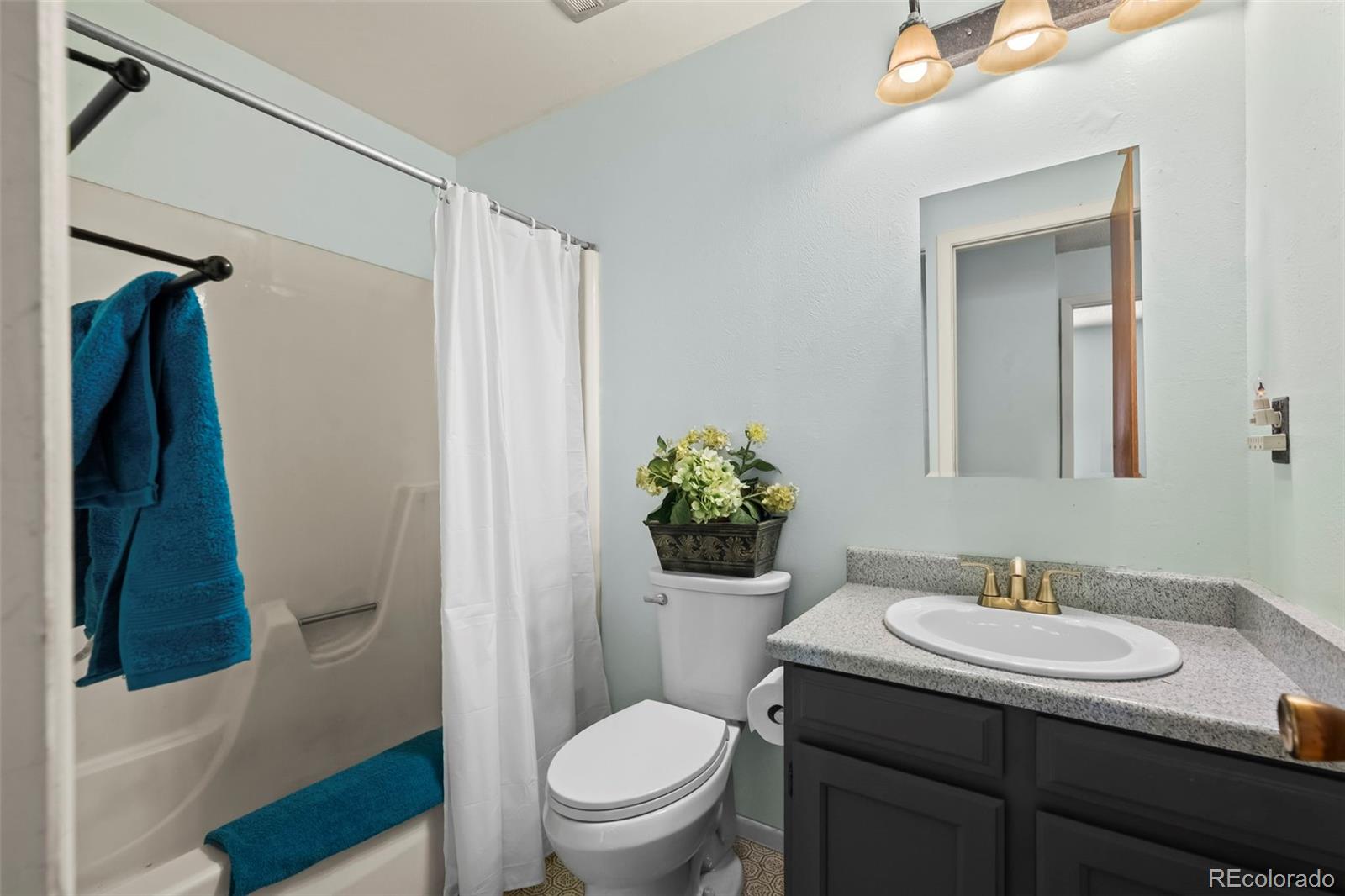 MLS Image #14 for 11506  adams street,thornton, Colorado