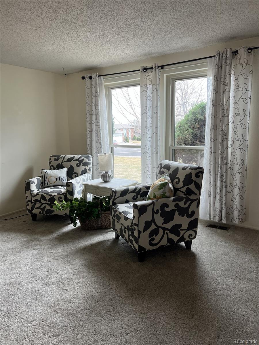 MLS Image #3 for 11506  adams street,thornton, Colorado