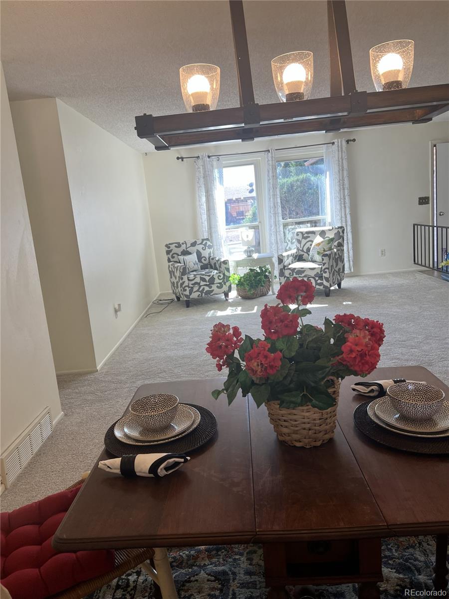 MLS Image #5 for 11506  adams street,thornton, Colorado