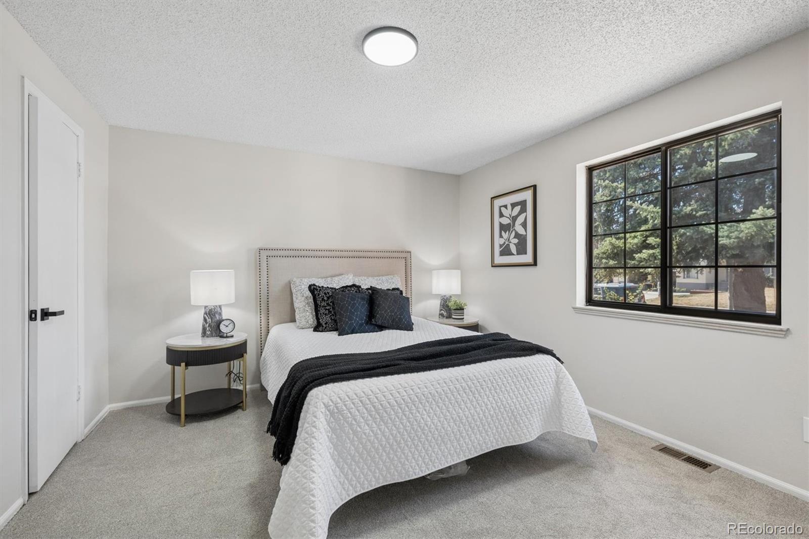 MLS Image #9 for 11338  lamar street,westminster, Colorado