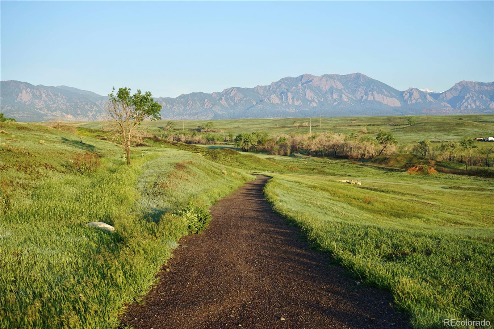 MLS Image #33 for 1737  high plains court,superior, Colorado