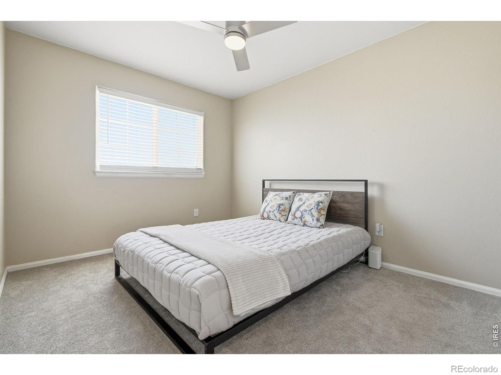 MLS Image #27 for 2558  palmer avenue,mead, Colorado