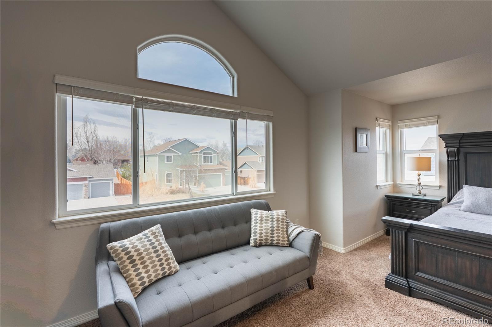 MLS Image #18 for 9020  sandpiper drive,longmont, Colorado