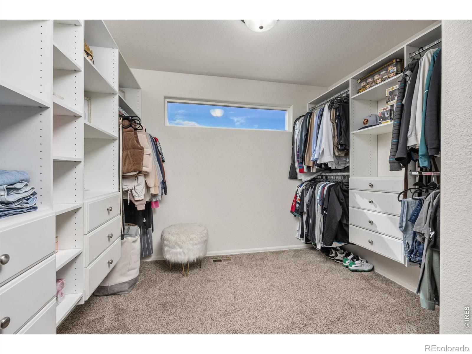 MLS Image #15 for 1553  first light drive,windsor, Colorado