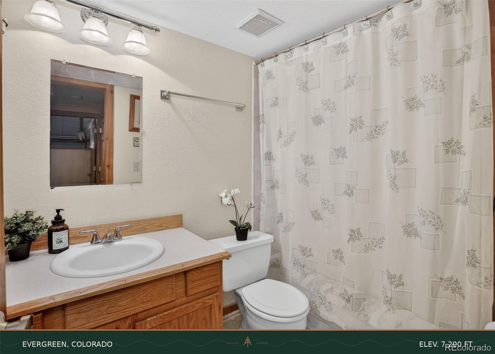MLS Image #15 for 6343  betty lane,evergreen, Colorado