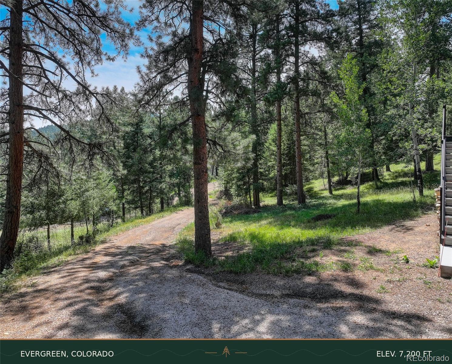 MLS Image #19 for 6343  betty lane,evergreen, Colorado
