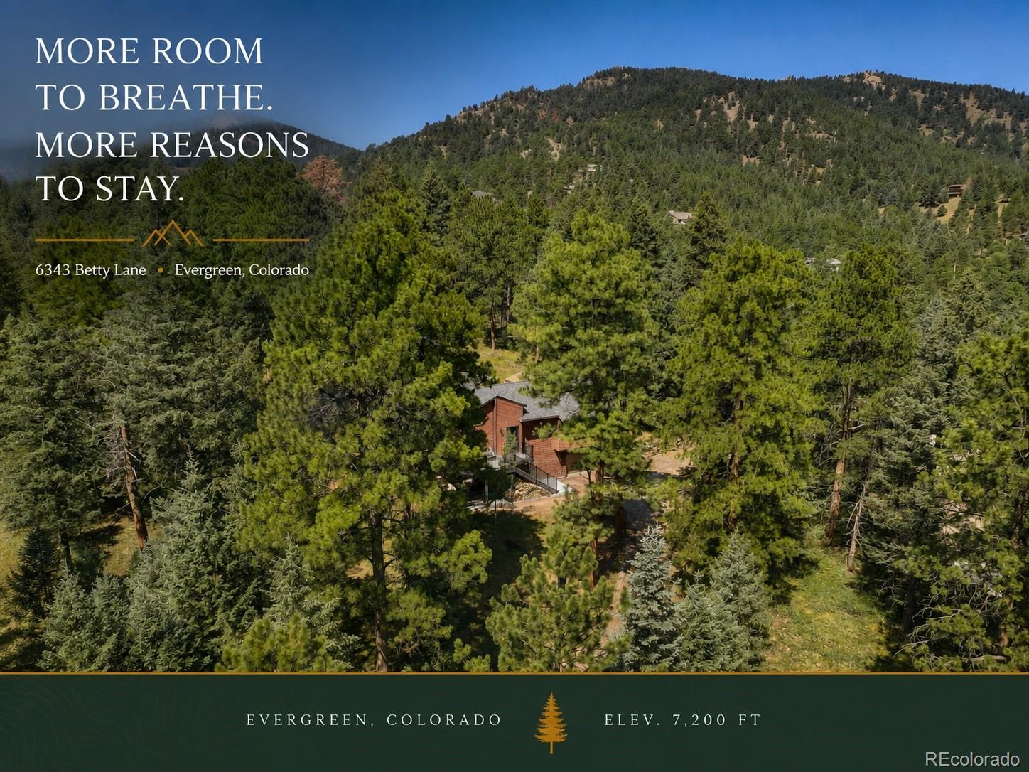 MLS Image #26 for 6343  betty lane,evergreen, Colorado