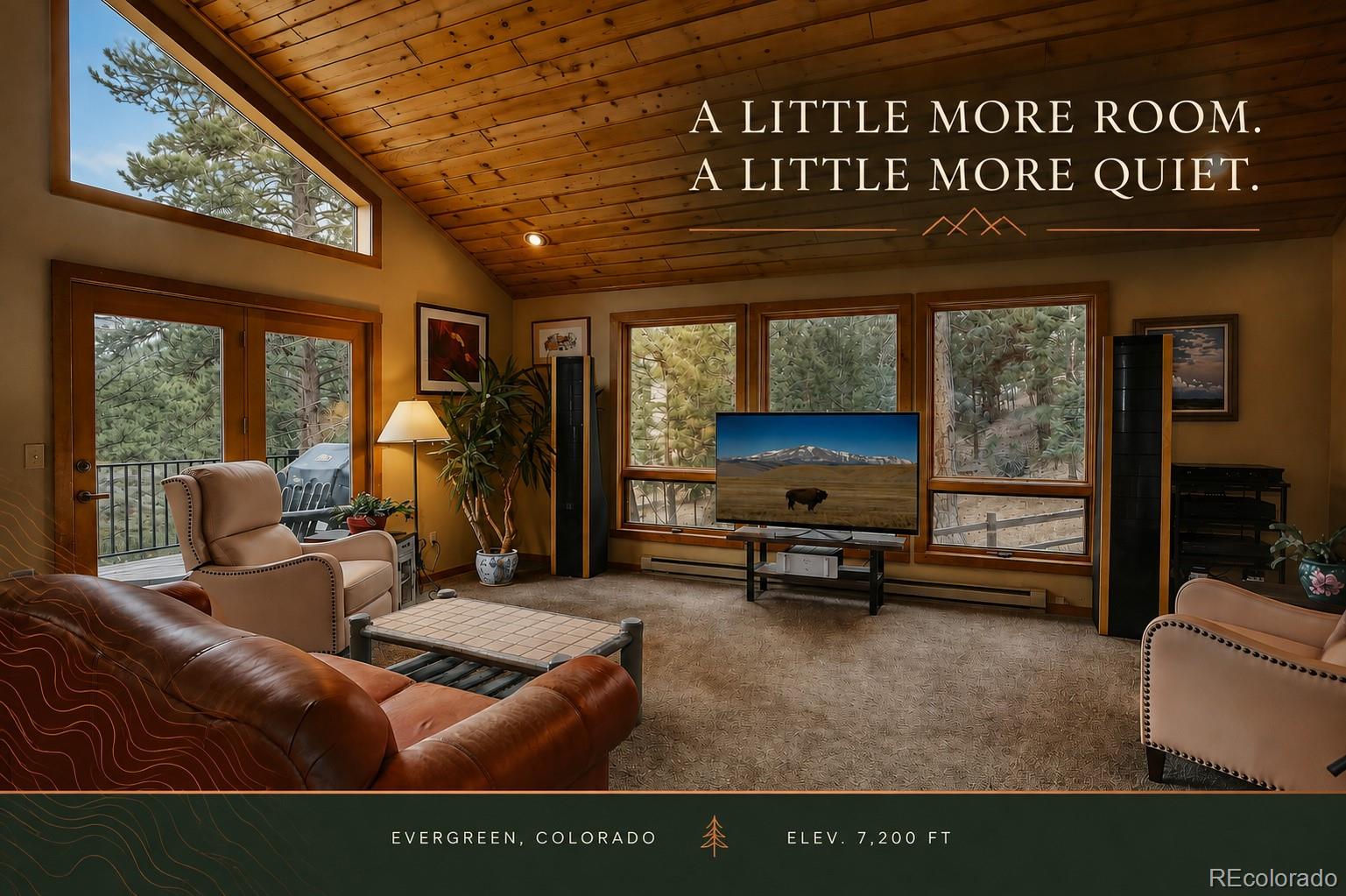 MLS Image #4 for 6343  betty lane,evergreen, Colorado