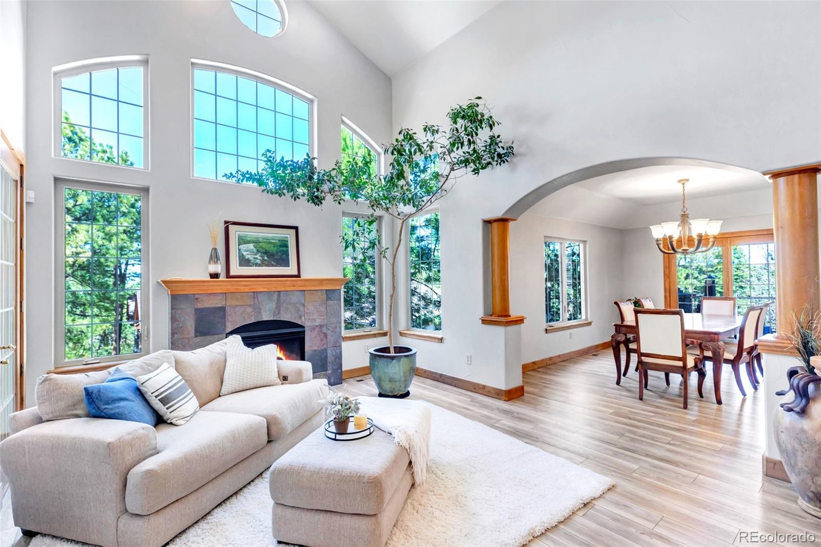 MLS Image #10 for 5172  horned owl way,parker, Colorado