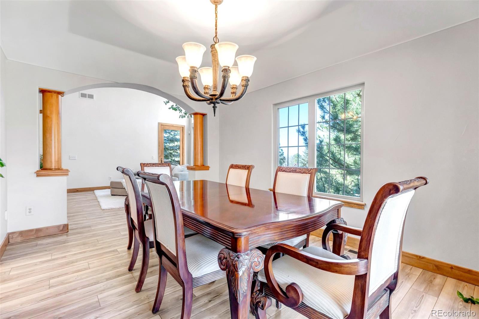MLS Image #11 for 5172  horned owl way,parker, Colorado