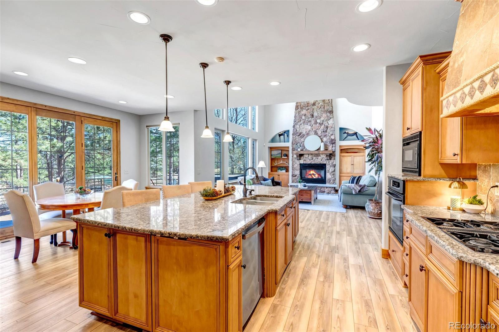 MLS Image #12 for 5172  horned owl way,parker, Colorado