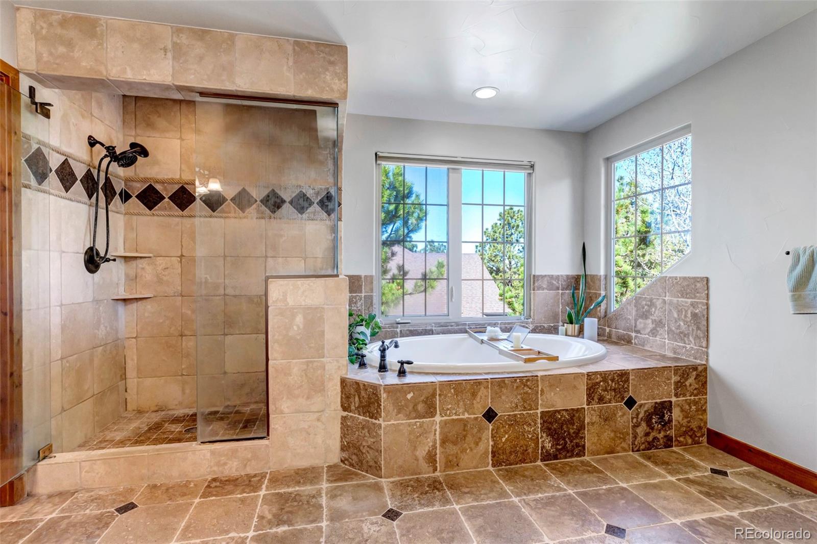 MLS Image #21 for 5172  horned owl way,parker, Colorado