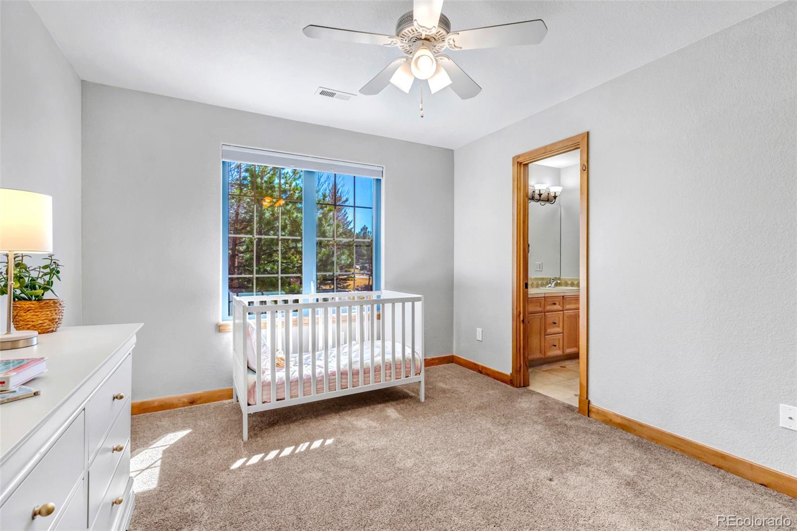 MLS Image #22 for 5172  horned owl way,parker, Colorado