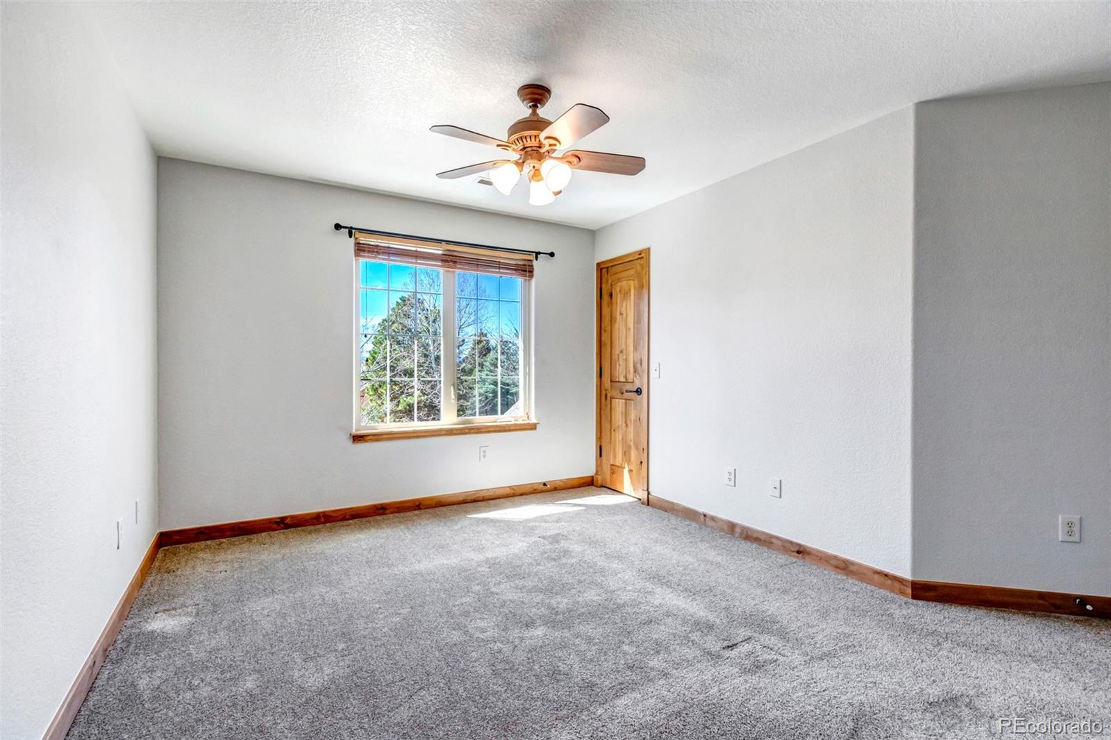 MLS Image #24 for 5172  horned owl way,parker, Colorado