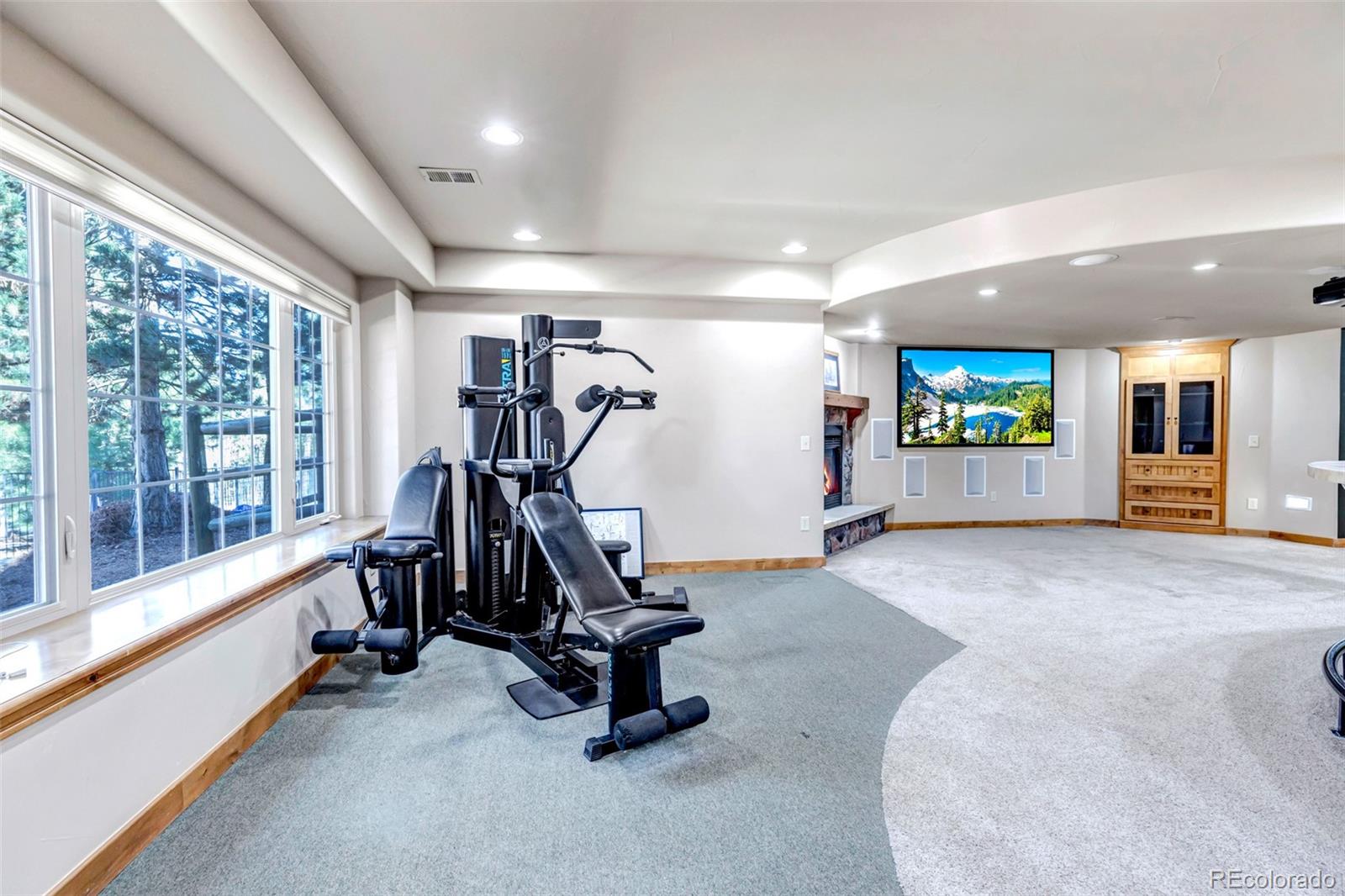 MLS Image #29 for 5172  horned owl way,parker, Colorado