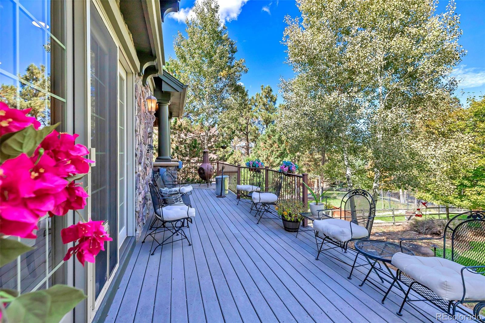 MLS Image #39 for 5172  horned owl way,parker, Colorado