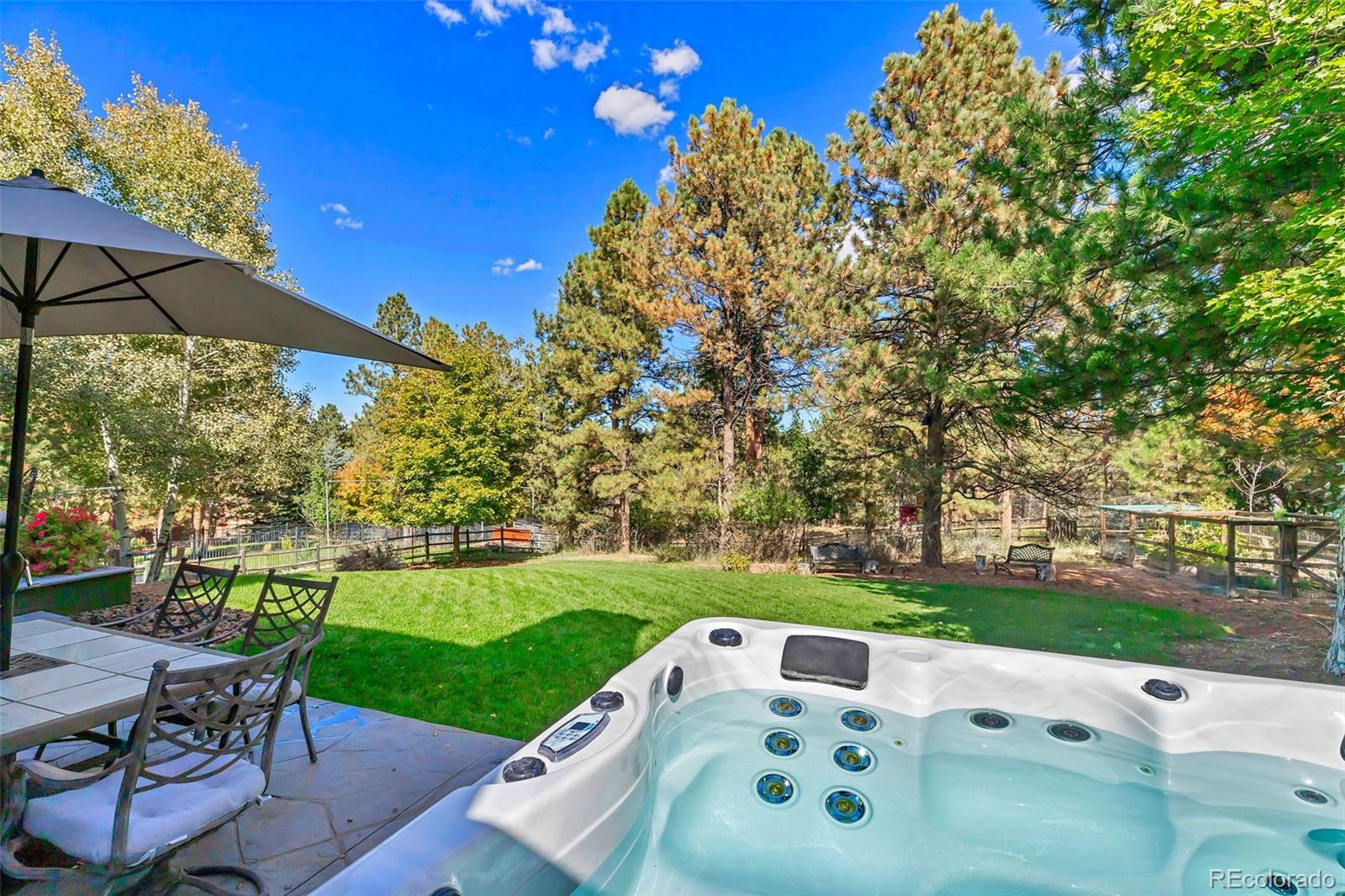 MLS Image #42 for 5172  horned owl way,parker, Colorado