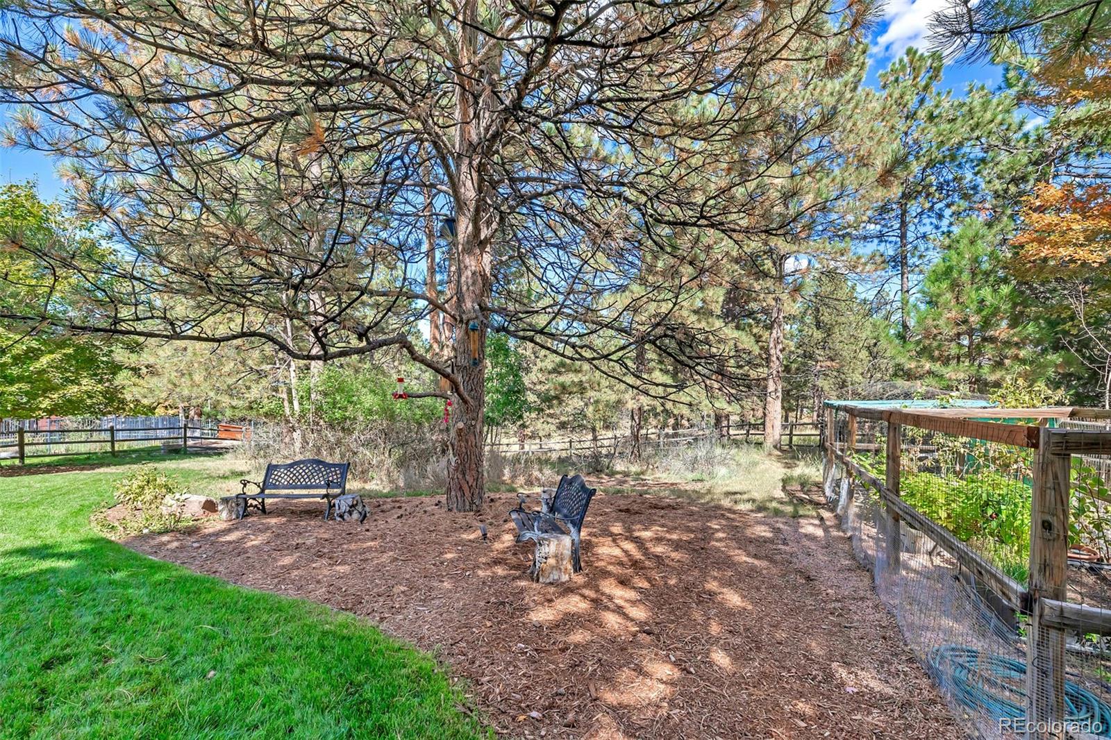 MLS Image #45 for 5172  horned owl way,parker, Colorado