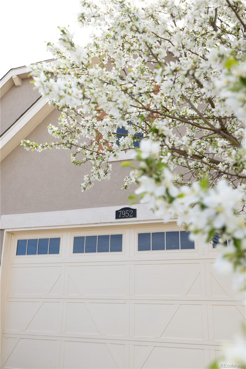 MLS Image #37 for 7952 e 151st place,thornton, Colorado