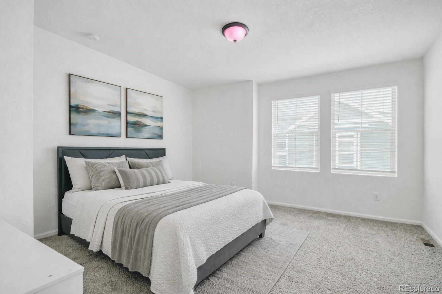MLS Image #10 for 10071  yampa court,commerce city, Colorado