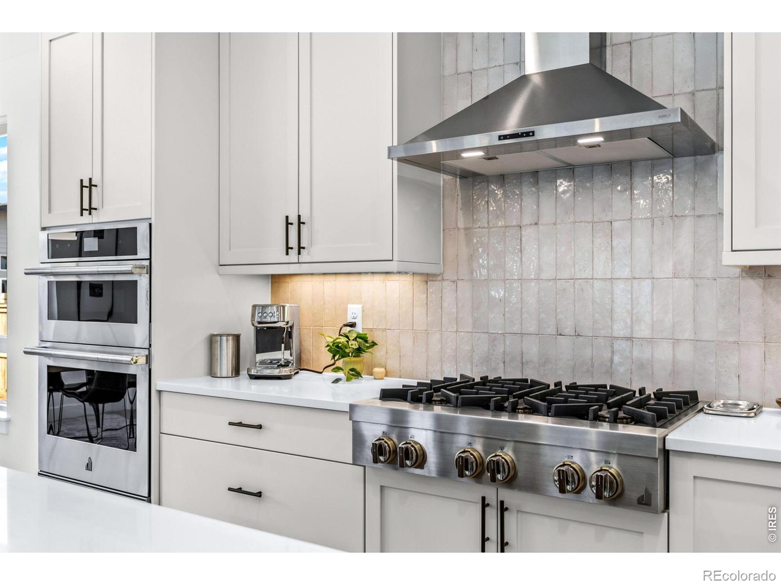 MLS Image #17 for 5579  moosehead circle,longmont, Colorado