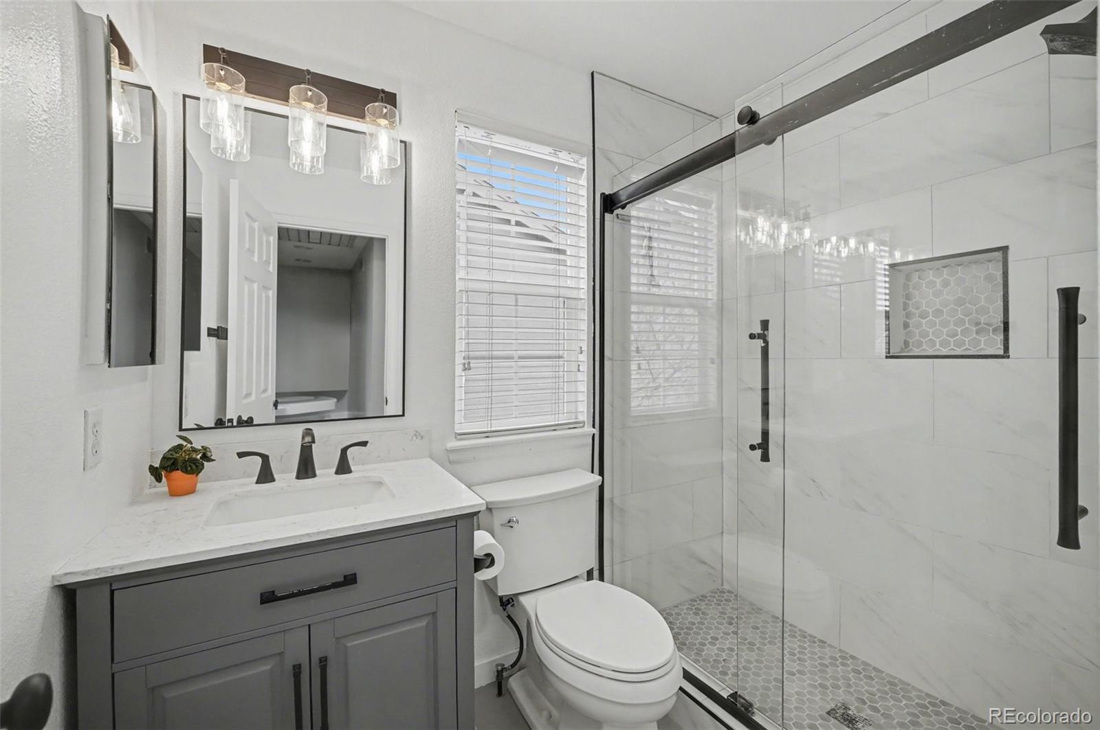 MLS Image #29 for 1070  thornbury place,highlands ranch, Colorado
