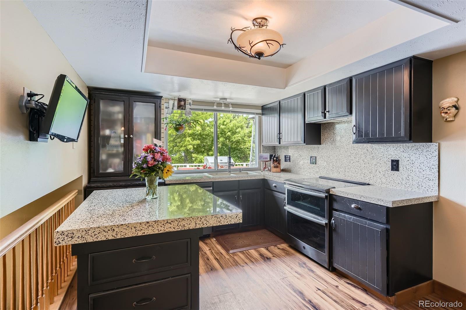 MLS Image #10 for 1651 e kettle avenue,centennial, Colorado