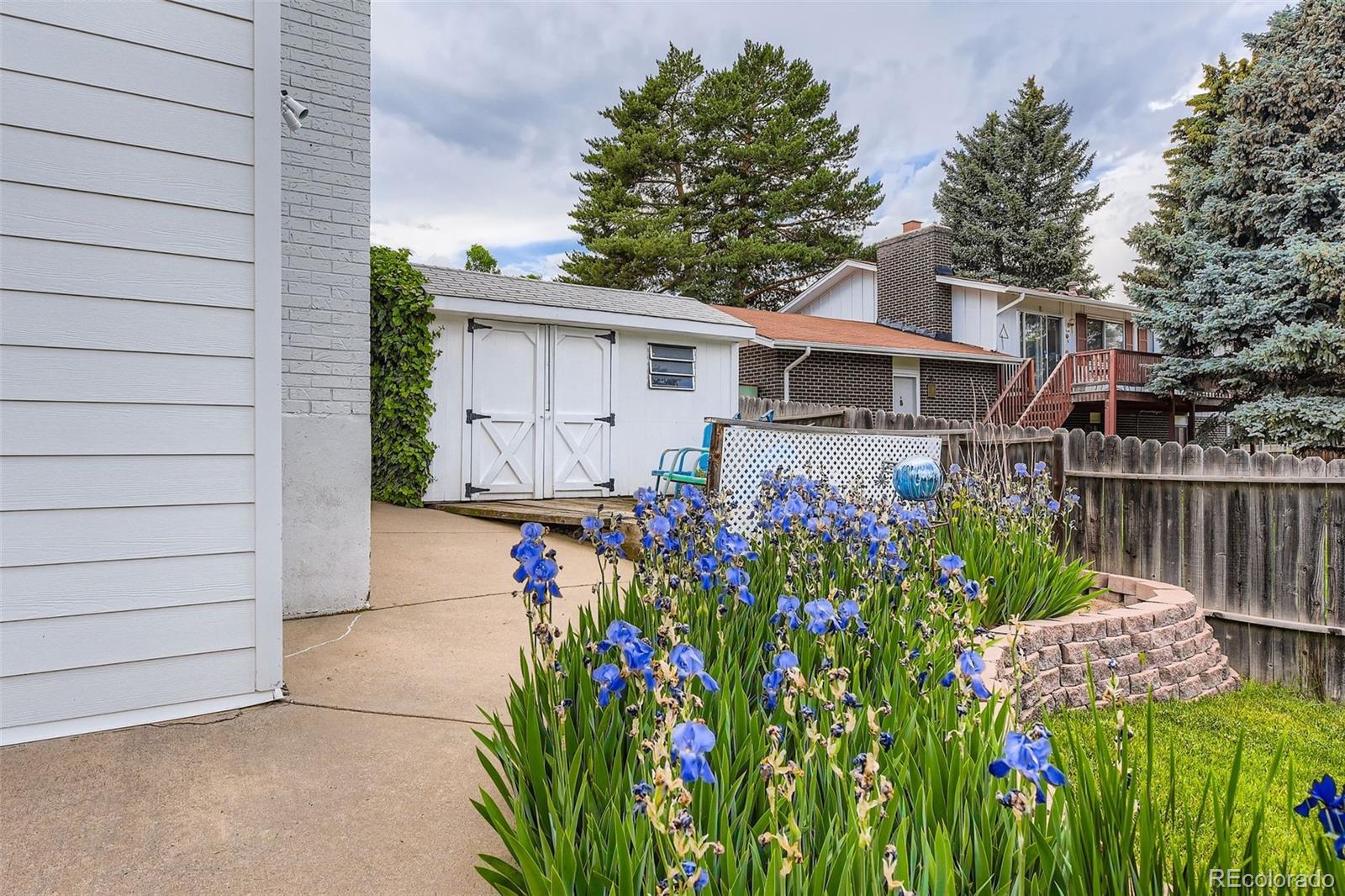 MLS Image #5 for 1651 e kettle avenue,centennial, Colorado