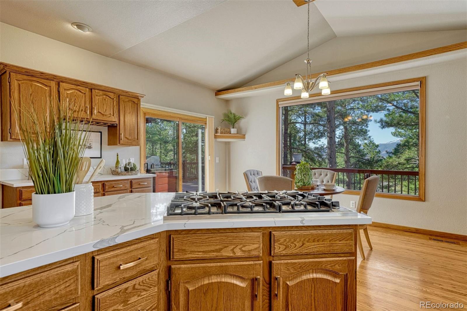 MLS Image #13 for 1680  oakwood drive,monument, Colorado