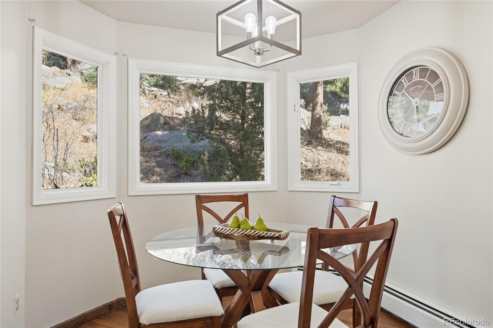 MLS Image #19 for 27569  fireweed drive,evergreen, Colorado