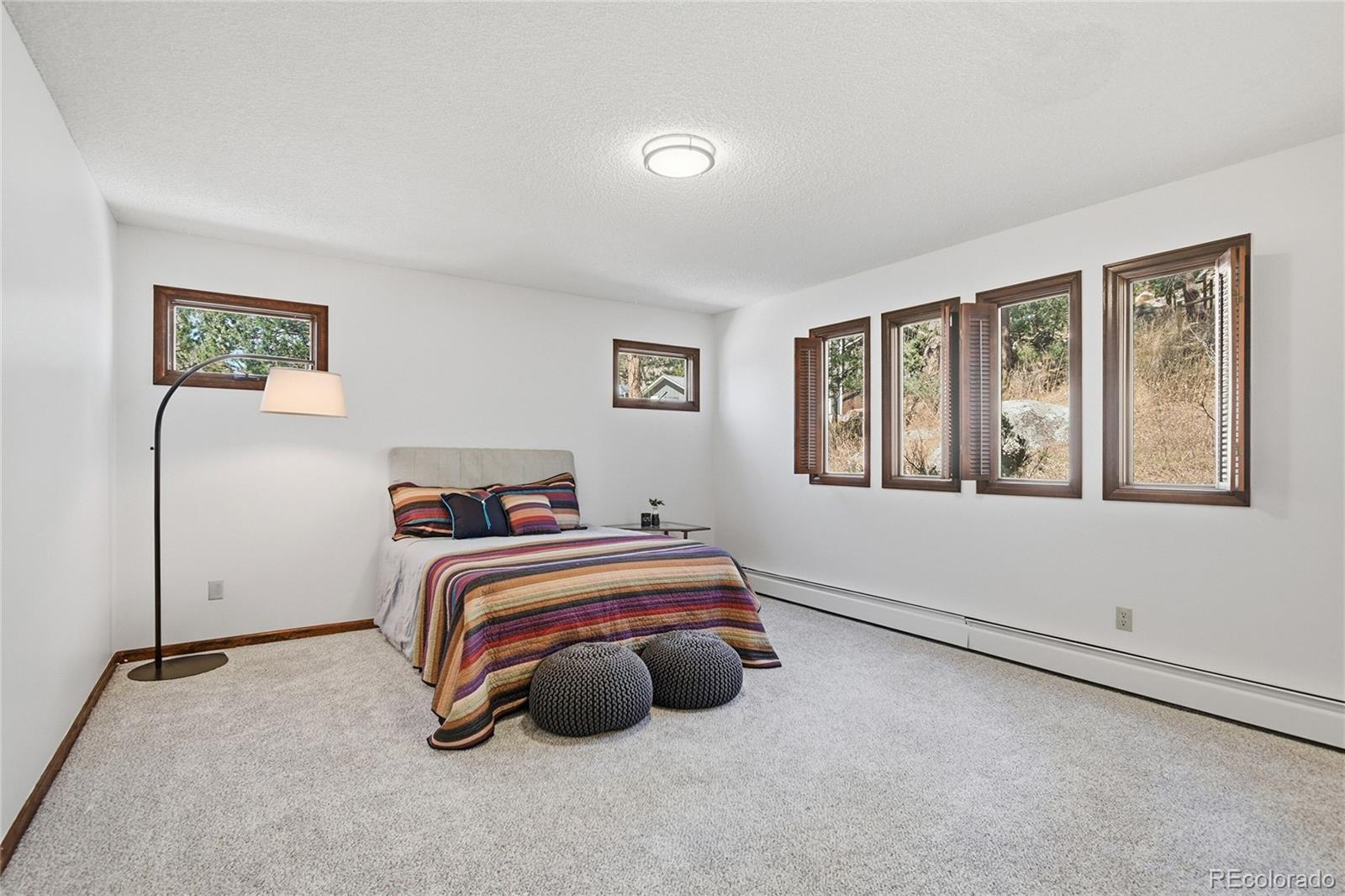 MLS Image #22 for 27569  fireweed drive,evergreen, Colorado