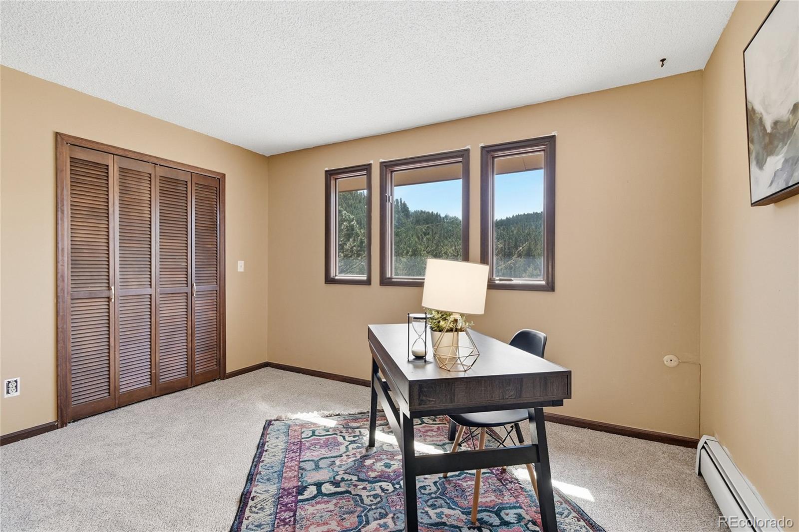 MLS Image #26 for 27569  fireweed drive,evergreen, Colorado