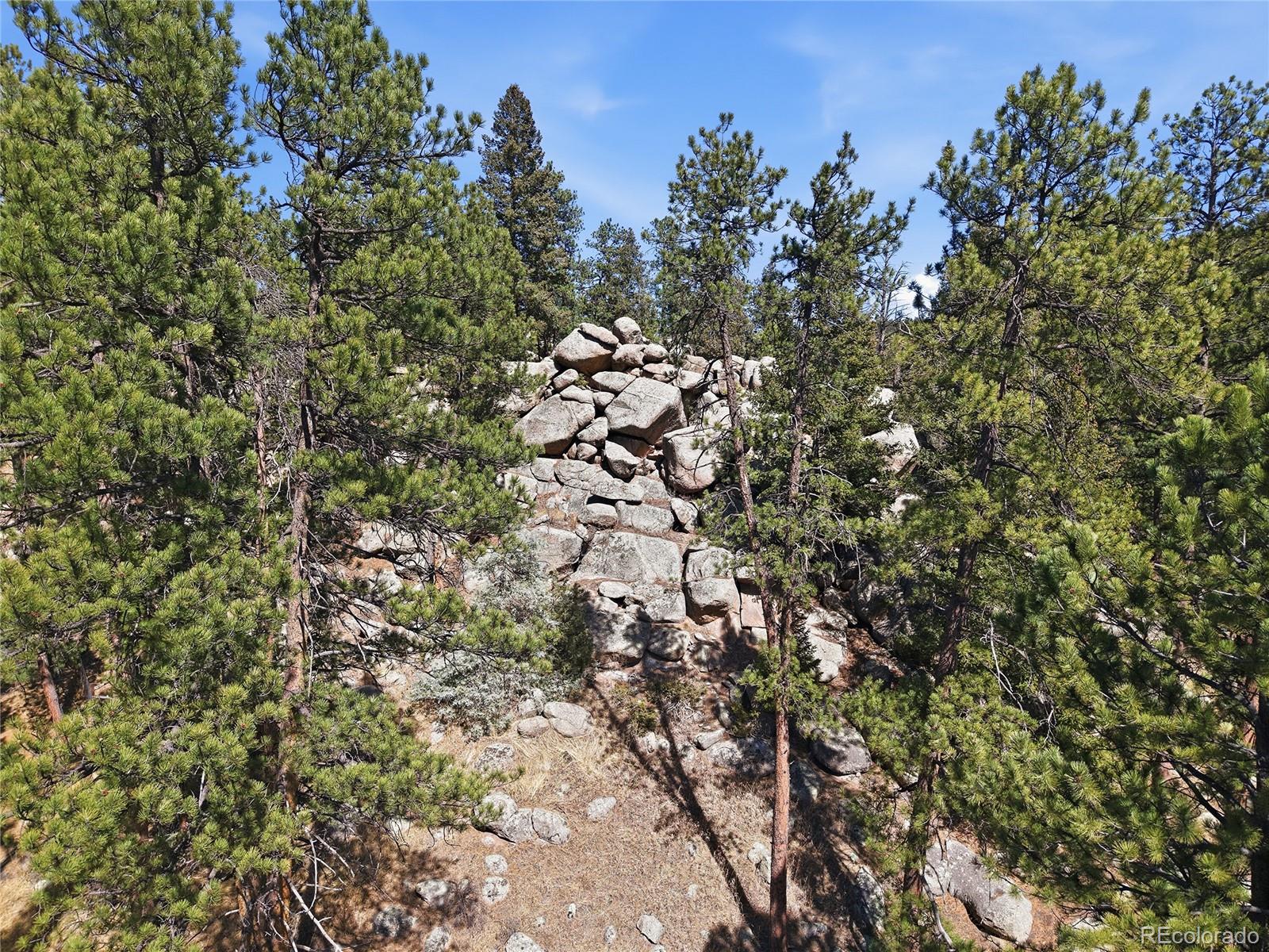 MLS Image #41 for 27569  fireweed drive,evergreen, Colorado