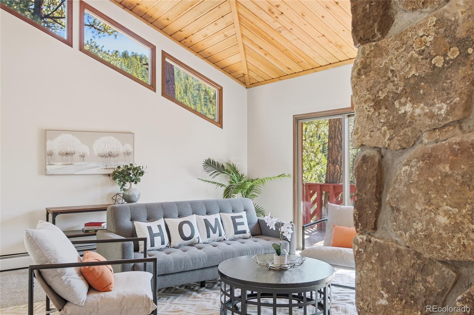 MLS Image #8 for 27569  fireweed drive,evergreen, Colorado