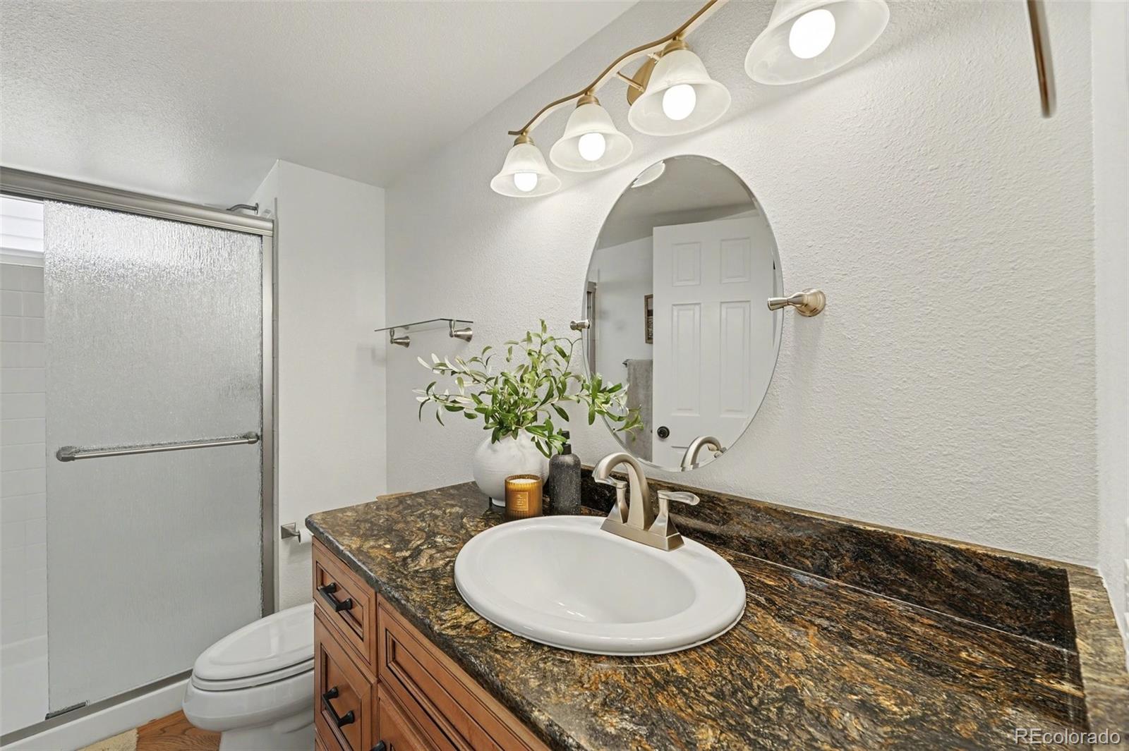 MLS Image #16 for 9845  spring hill street,highlands ranch, Colorado