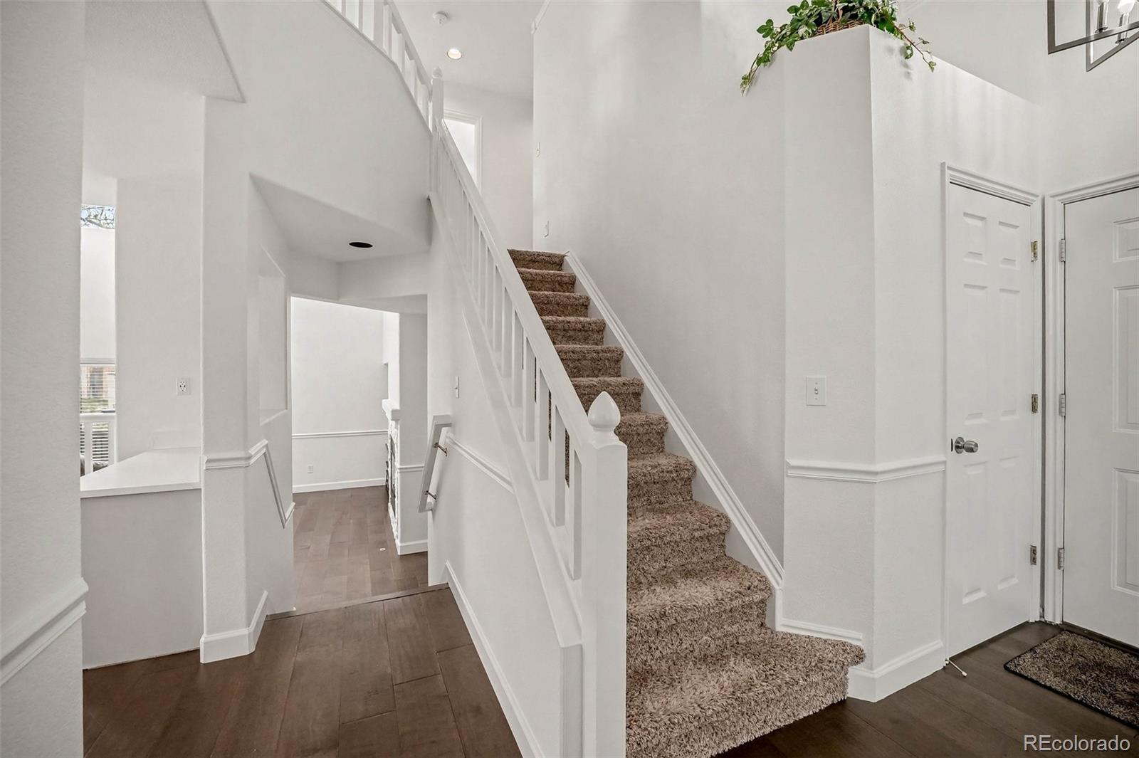 MLS Image #9 for 9308  wolfe drive,highlands ranch, Colorado