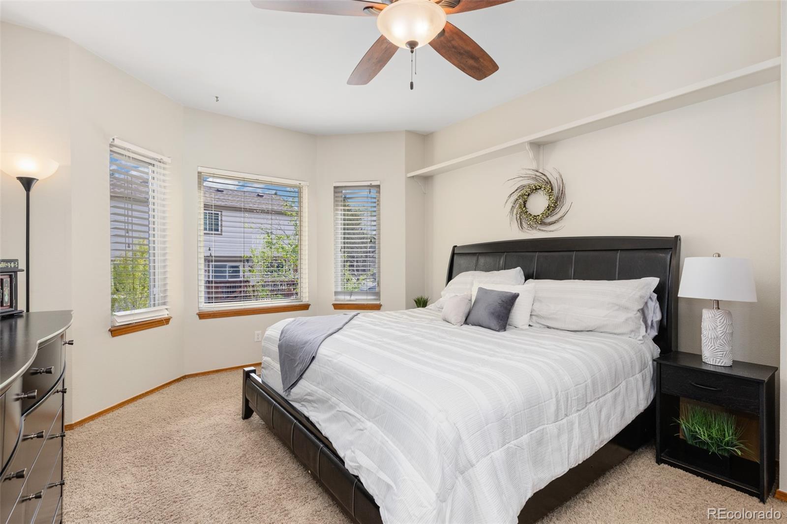 MLS Image #12 for 17002  walsh ave ,parker, Colorado