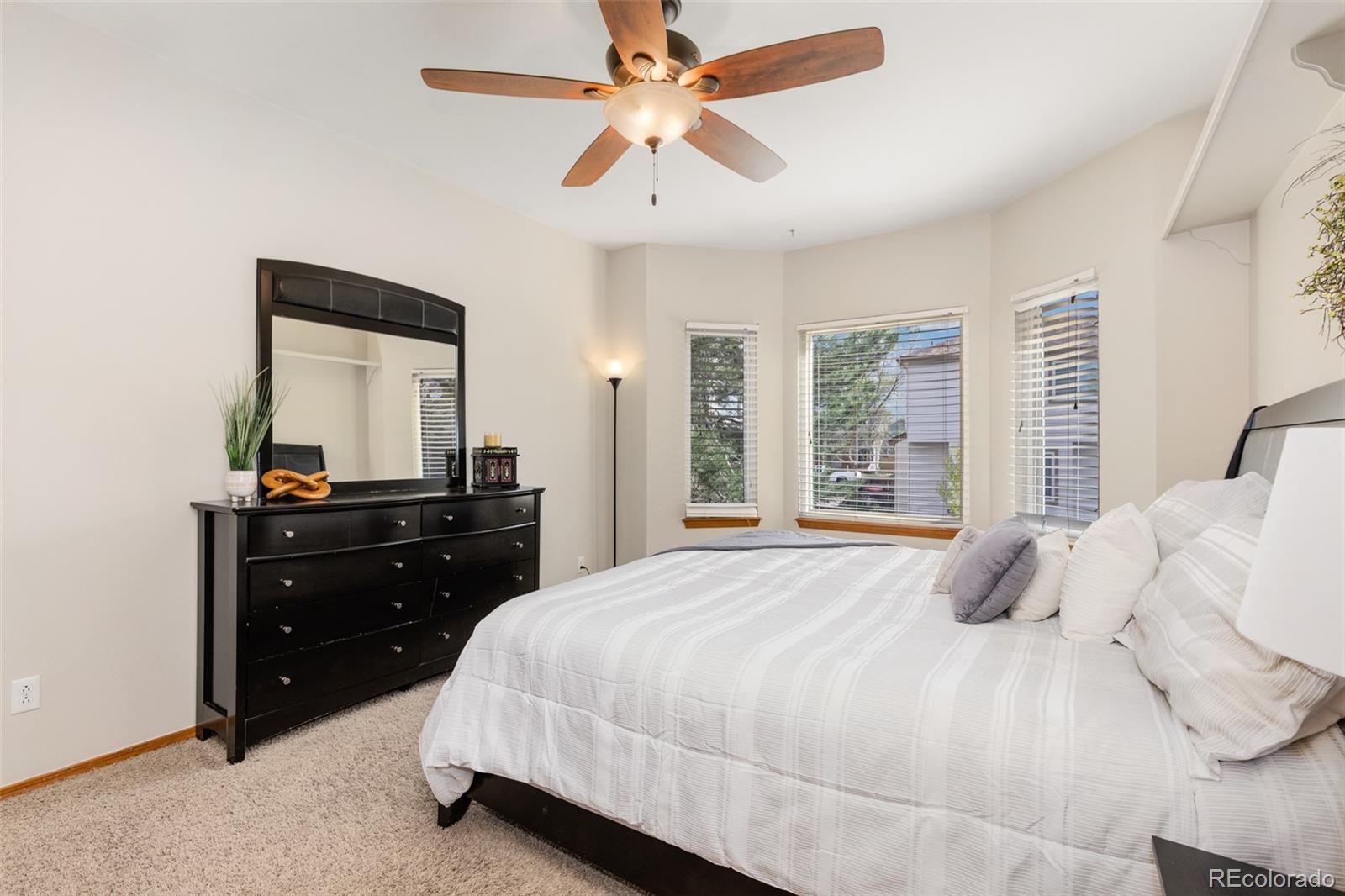 MLS Image #14 for 17002  walsh ave ,parker, Colorado