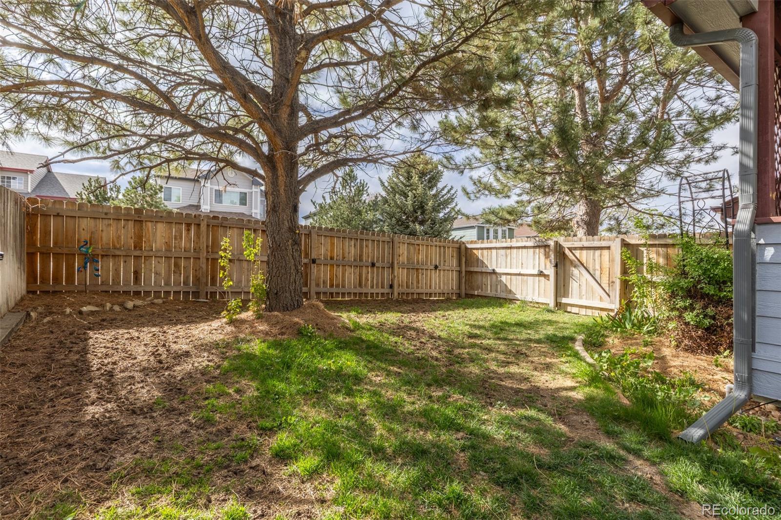 MLS Image #28 for 17002  walsh ave ,parker, Colorado