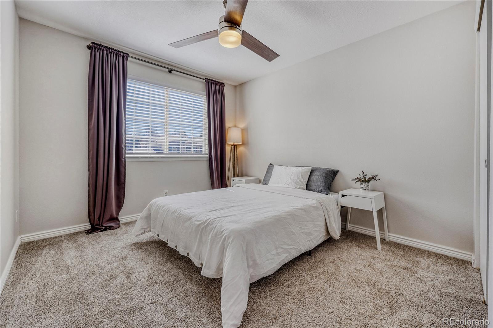 MLS Image #11 for 3639  primrose lane,castle rock, Colorado