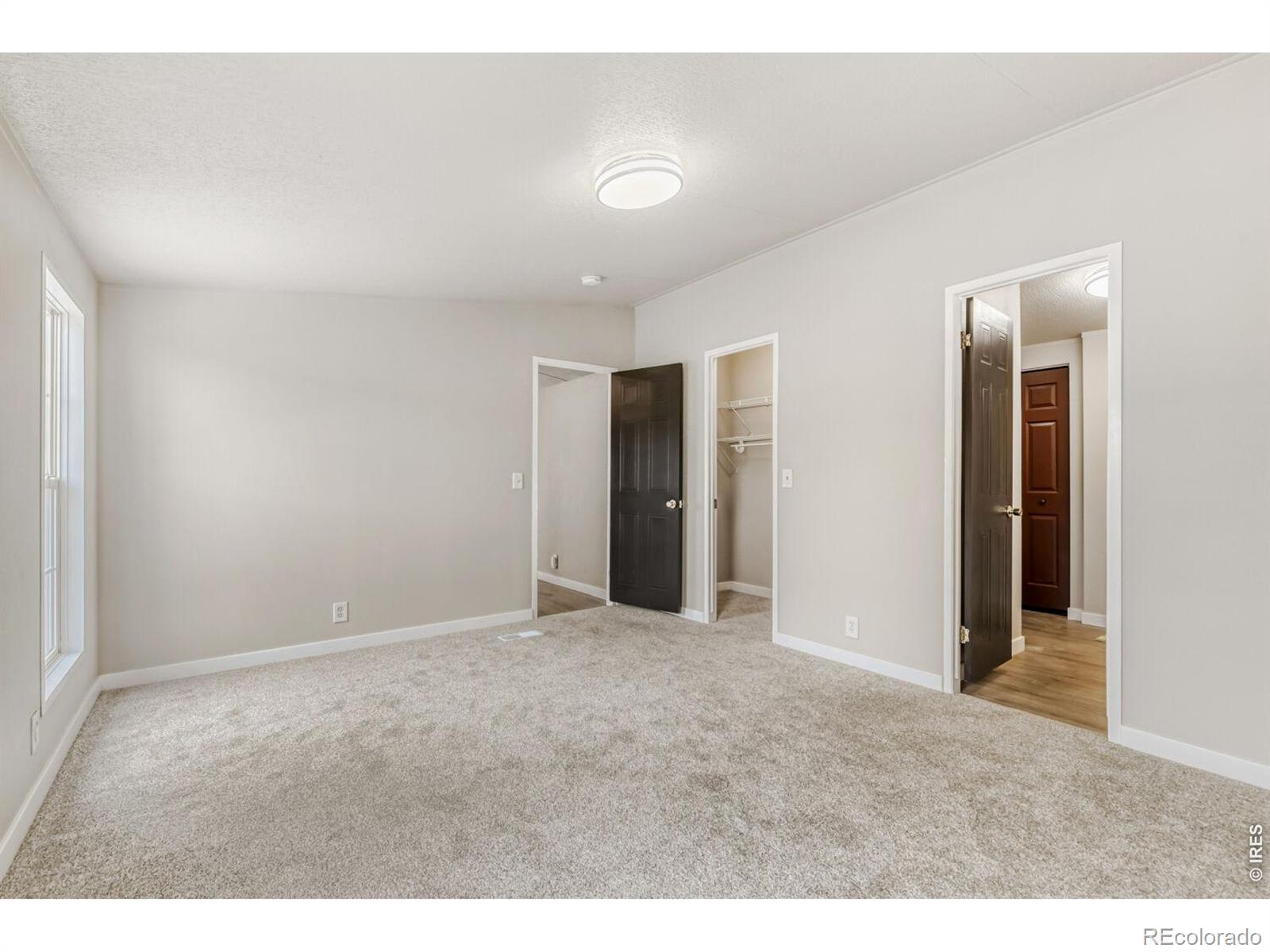 MLS Image #13 for 1213  maccormack court,dacono, Colorado