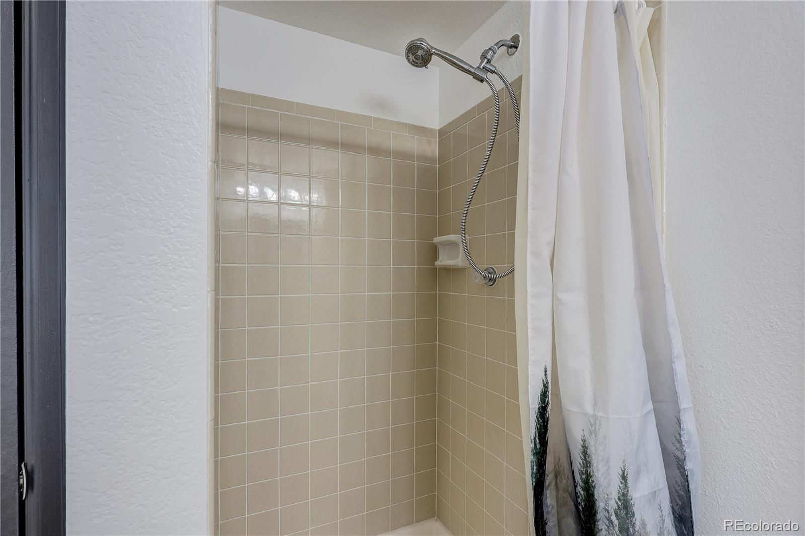 MLS Image #15 for 21518 e powers lane,centennial, Colorado