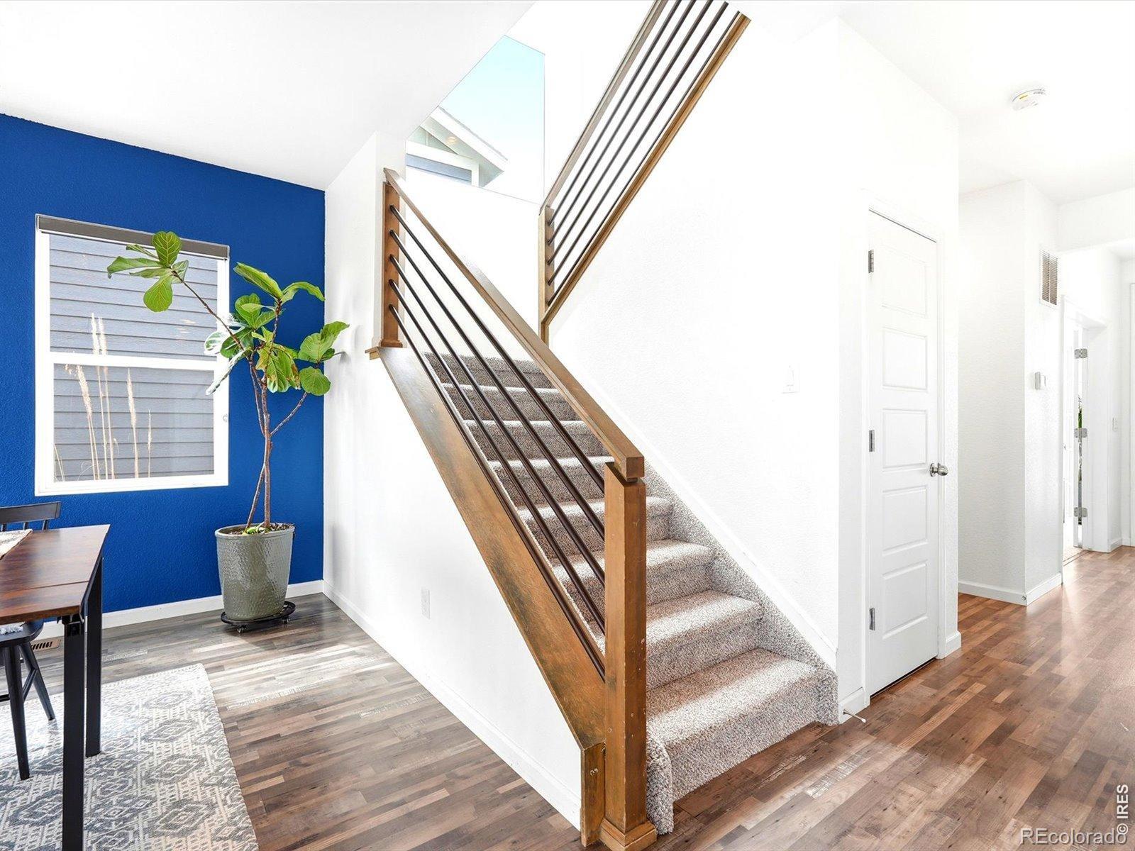 MLS Image #14 for 17464  olive street,broomfield, Colorado
